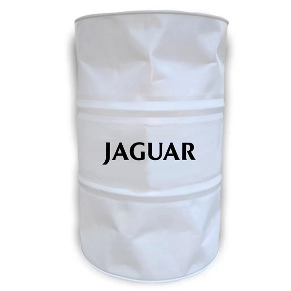 Jaguar Texte